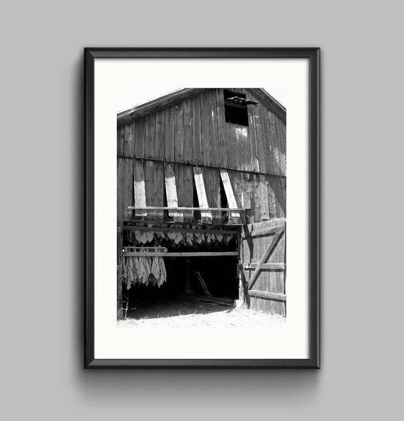 Tobacco Barn Black White Photo Man Cave Old Barn Print Etsy