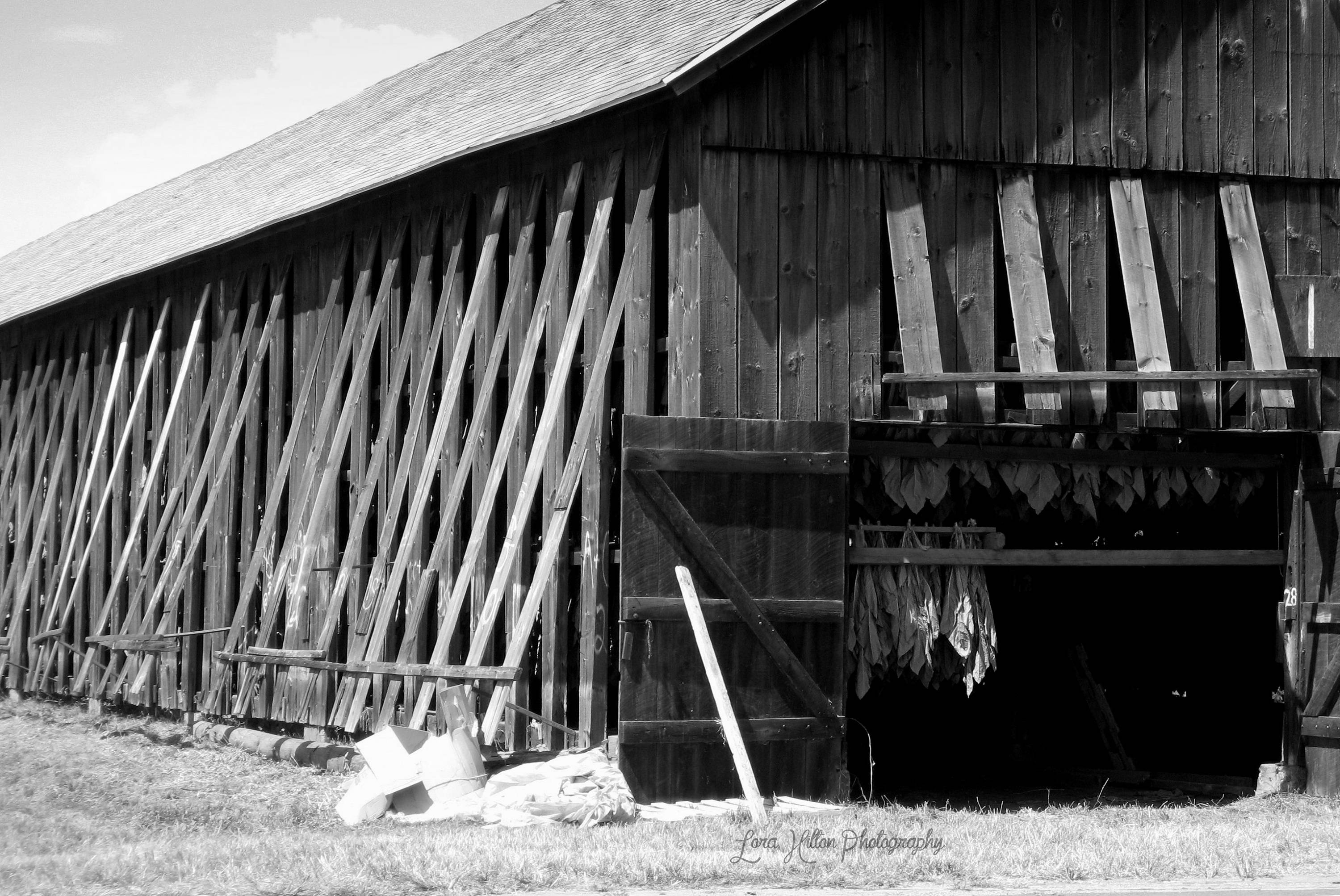 Tobacco Barn Photo Print Rustic Old Barn Enfield Connecticut Etsy