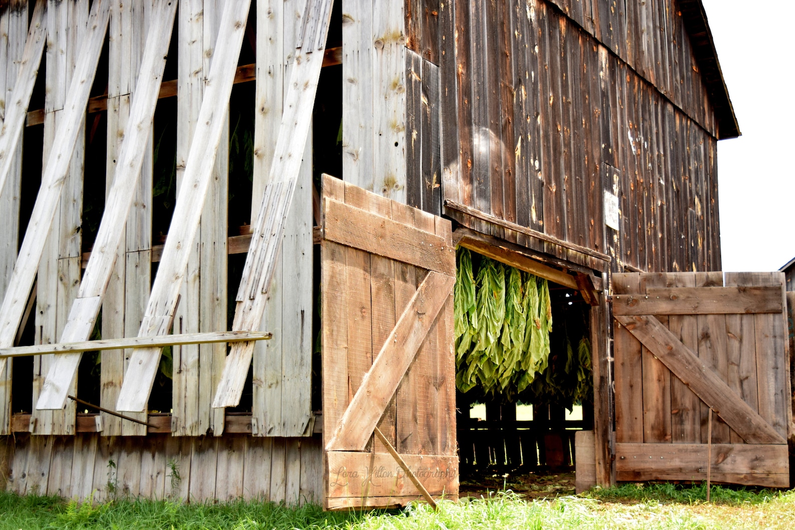 Tobacco Barn Photo Enfield Connecticut Photography Print Old Etsy