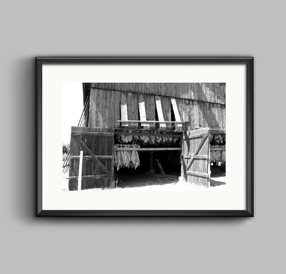 Tobacco Barn Black White Photo Man Cave Old Barn Print Etsy