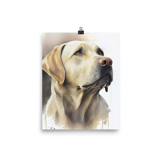 Sweet labrador top