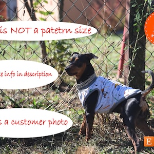 Könnte beinhalten: Ein schwarz-brauner Hund trägt eine weiße und graue gemusterte Hundeweste. Der Hund steht vor einem Maschendrahtzaun. Der Text "This is NOT a pattern size" und "Check size info in description" ist in Rot auf weißen Kreisen geschrieben. Der Text "This is a customer photo" ist in Rot auf einem weißen Kreis geschrieben. Der Text "Sew with DOG011 PDF patterns" ist in Orange auf einem weißen Kreis geschrieben. Der Text "E Dbg011" ist in Orange auf einem weißen Rechteck geschrieben.