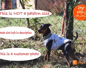 Dog Vest Sewing Pattern: Labrador Size PDF Pattern