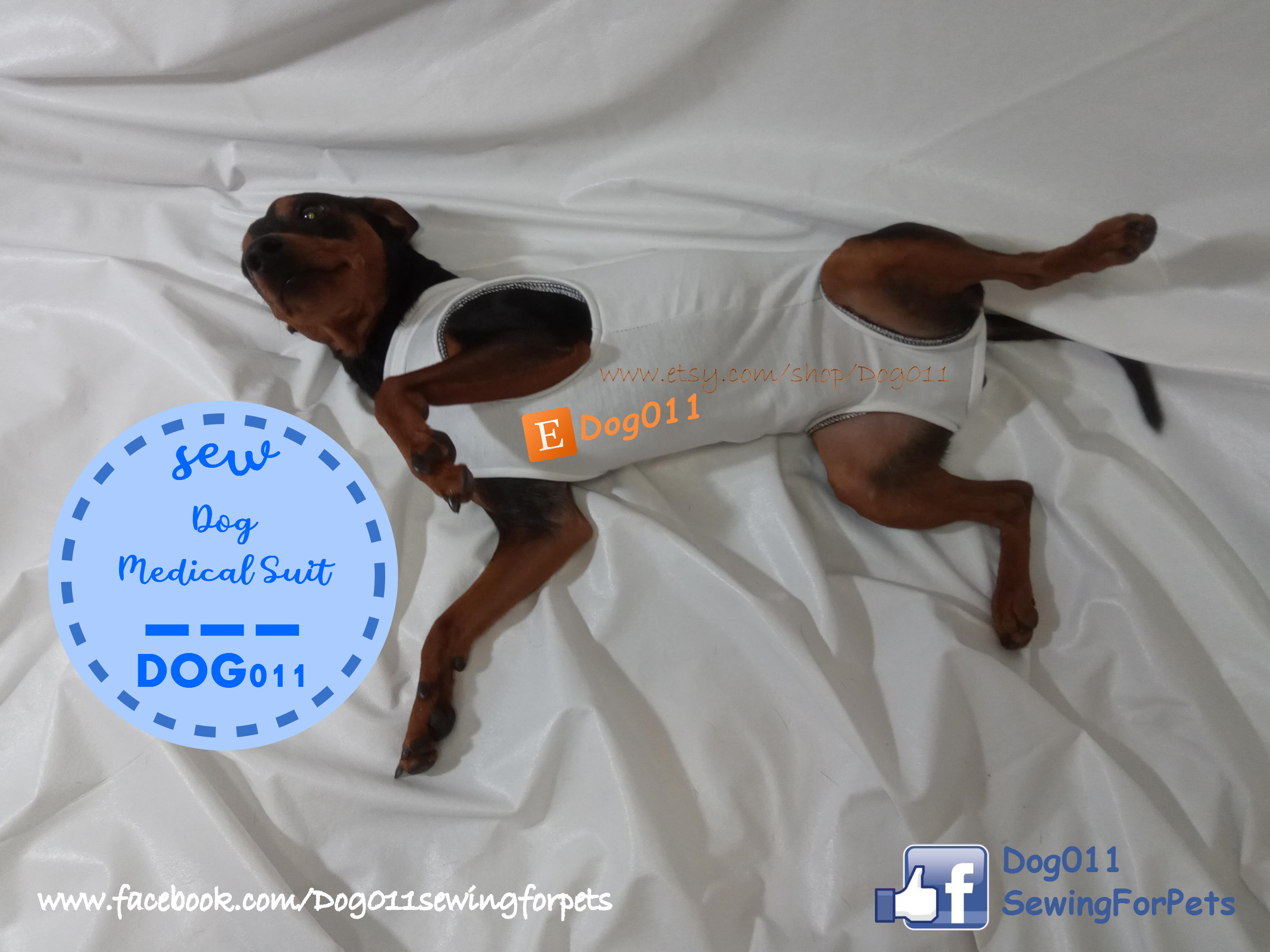 Dog Medical Suit Sewing Pattern: Cocker Spaniel Size PDF Pattern - Etsy