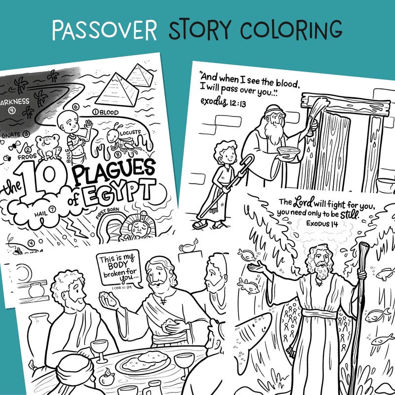 Passover Story Books - Etsy