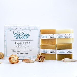 Shampoo Mini 4 Bars, Variety Pack #3