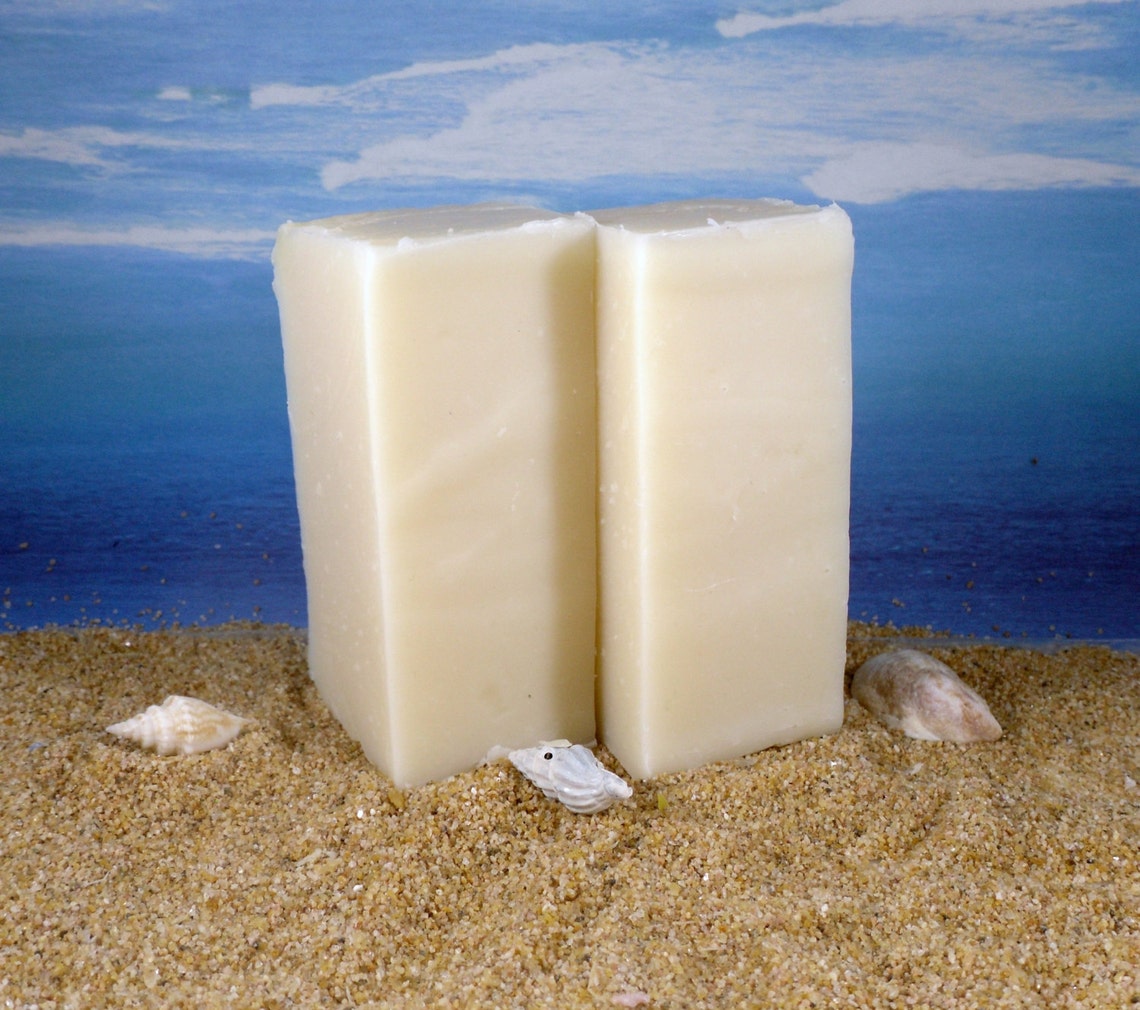 Aloe and Jojoba Shampoo Bar / Organic Natural Hair Care Palm Etsy