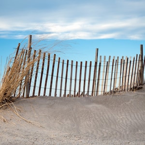 beach decor, photography, home wall art, living room decor, bedroom bathroom ocean pictures, sand dune fence, sea grass, summer day, prints
