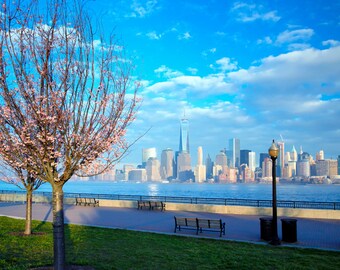 art print, wall decor, travel photography, new york city, lower manhattan skyline, cherry blossoms, springtime, office art, bedroom decor