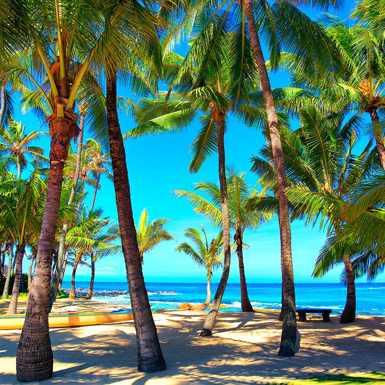 Art Print Wall Decor Tropical Photography Home Decor Fine Etsy