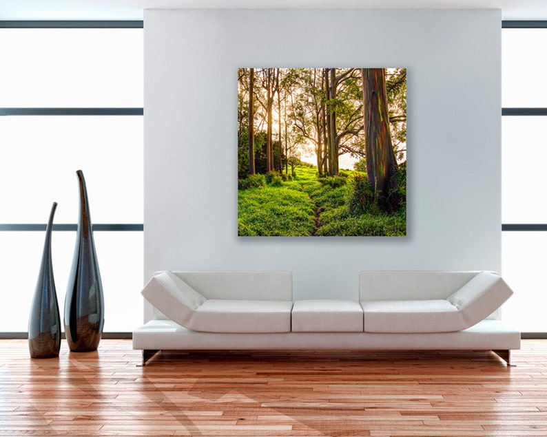 Aluminum Metal Print Wall Art Wall Decor Rainbow Etsy