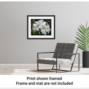 Example picture showing how the Pretty Plumeria artwork by Maui J & M Photography would look if it were displayed in a black frame with a white mat and placed on the wall of a modern tropical beach house interior space.