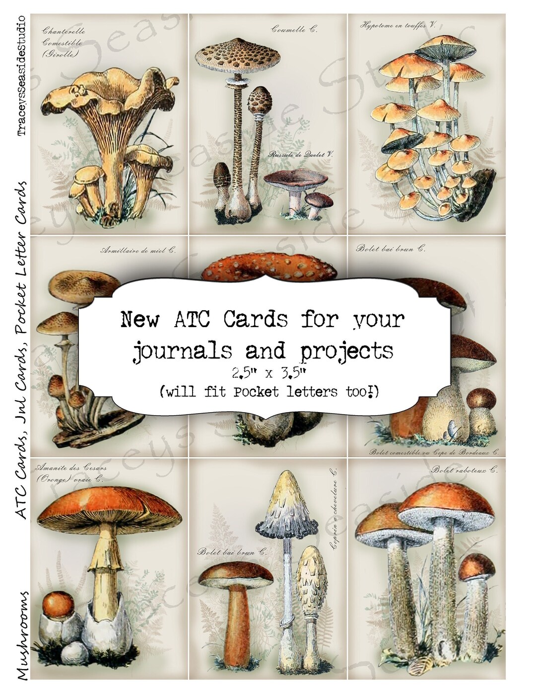 ATC Artist Trade Cards Woodland Mushrooms Journal Cards Etsy