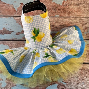 May include: A blue and white gingham dog dress with a lemon print and yellow tulle. The dress has a blue trim and the text "Kim's Posh Pets" is printed on the dress.