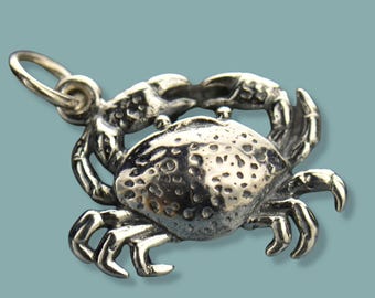 Dije de cangrejo, colgante de cangrejo, joyería de playa, dije náutico, dije de océano, signo del zodiaco Cáncer, regalo para amantes de los mariscos, cangrejo de plata, dije de astrología