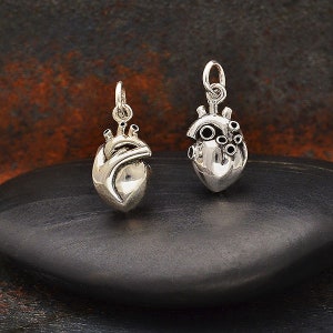 Anatomical Heart Jewelry, Heart Charm, Anatomical Heart Necklace, Silver Heart Charm, Human Heart, Gift for Doctor, Heart Pendant,