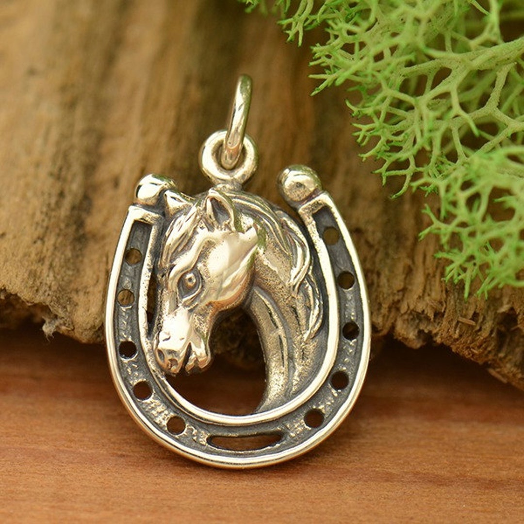 Lucky Horseshoe Sterling Silver Charm Dangle Earrings