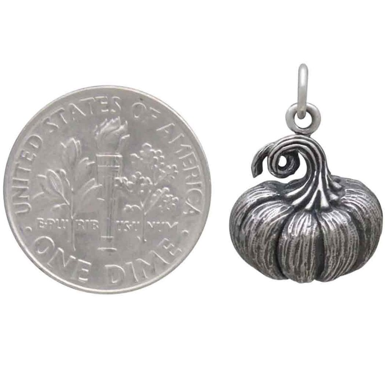 May include: A silver charm in the shape of a pumpkin. The charm is about the size of a US dime.
