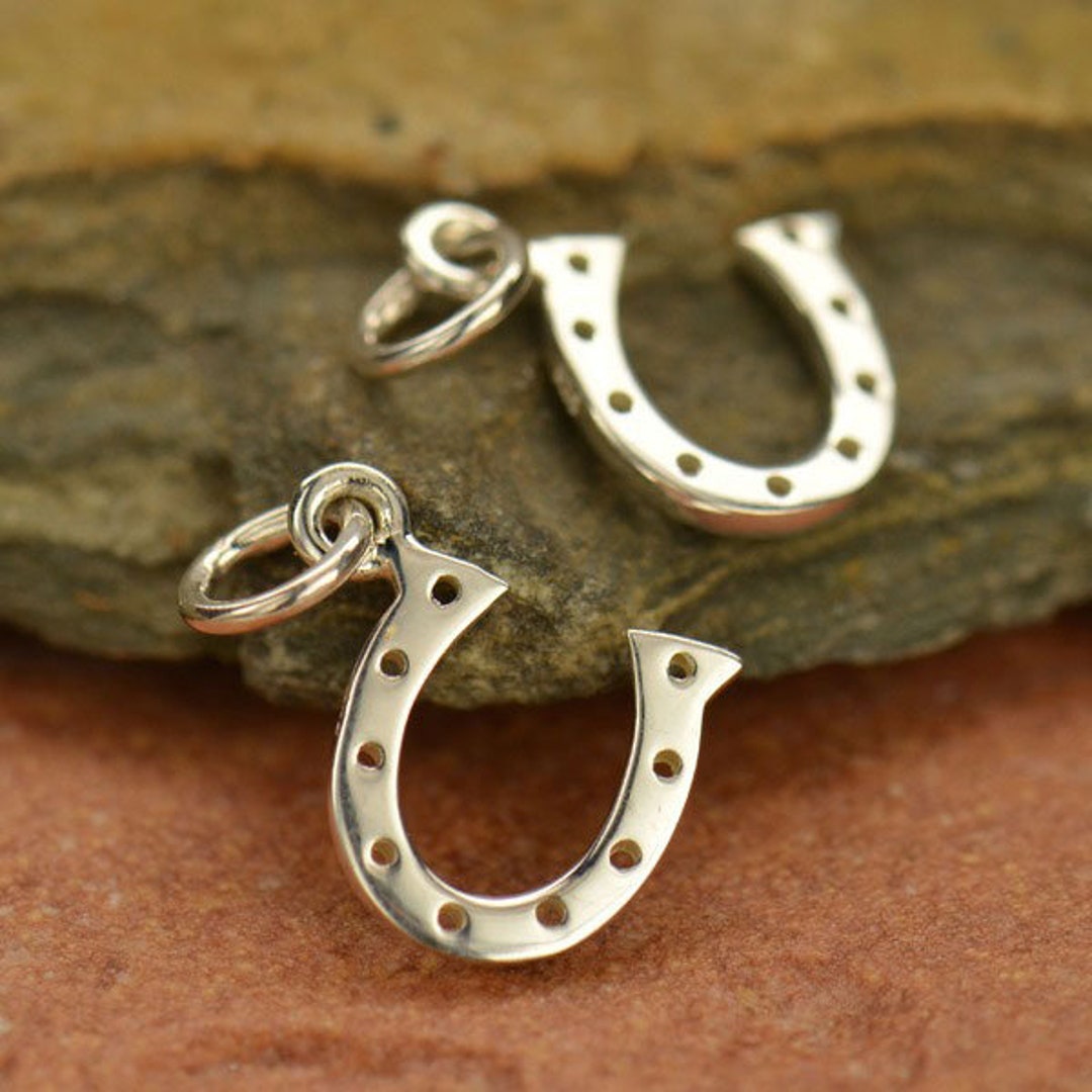 Lucky Horseshoe Sterling Silver Charm Dangle Earrings main image 1