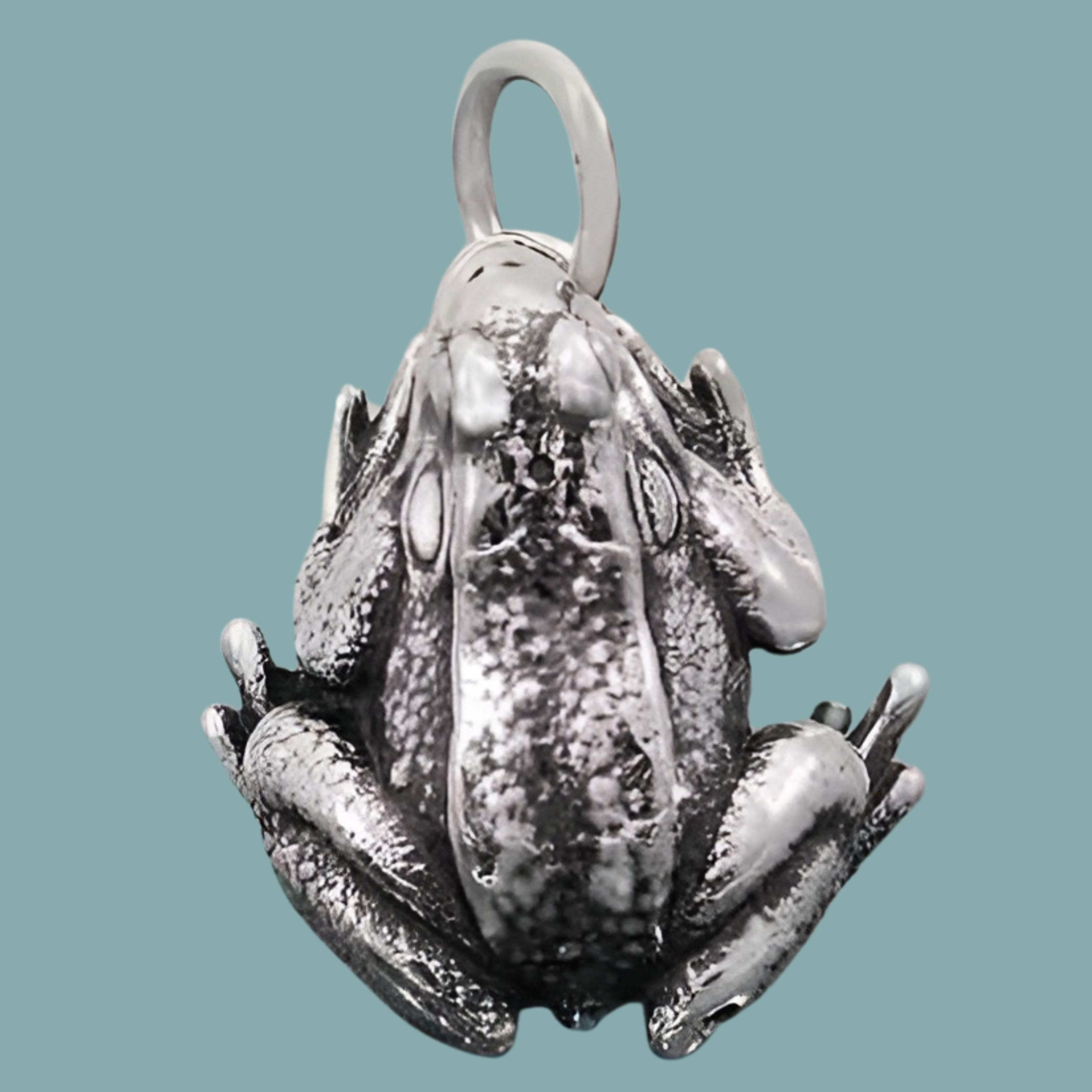 925 Silver Frog Locket Frog Urn Locket Frog Urn Necklace