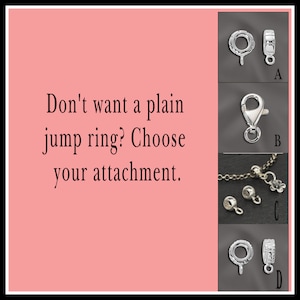 May include: Four different types of jewelry clasps, labeled A, B, C, and D.  Don't want a plain jump ring? Choose your attachment.