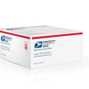 Upgrade, Upgrade to Priority, Priority Mail, Expedited Shipping, Expedited, Faster Shipping, Upgrade Shipping, Fast Shipping, Shipping Cost