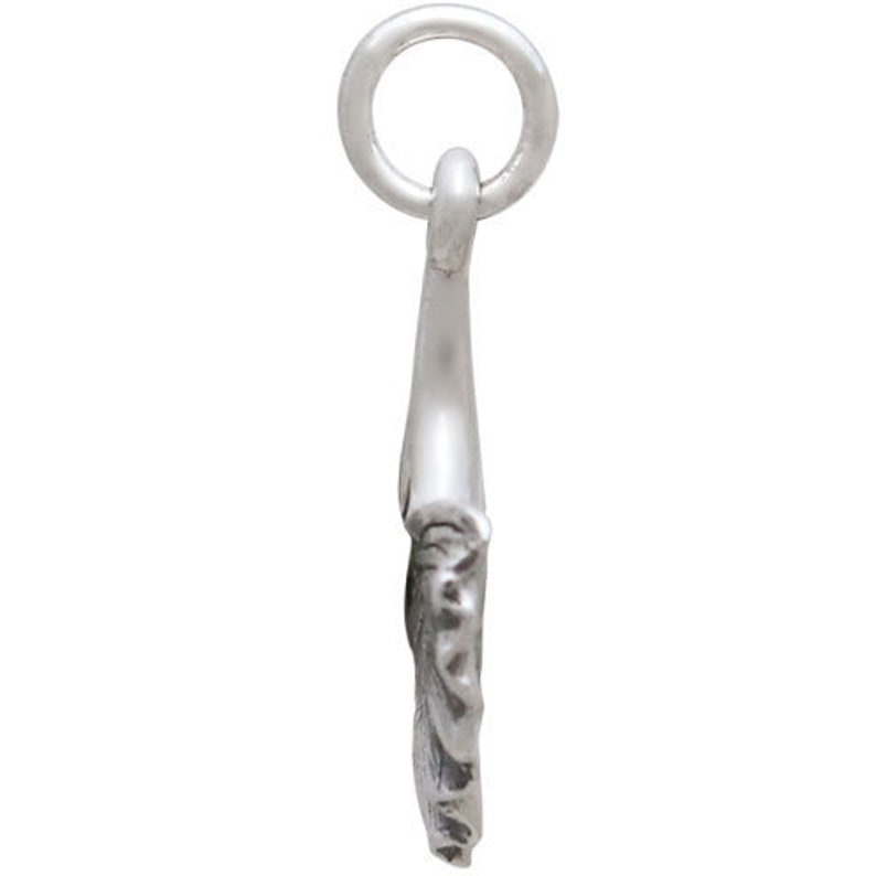 May include: A silver charm in the shape of a crescent moon with a detailed design.
