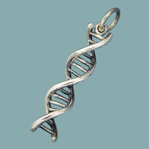 Silver DNA Charm, DNA Necklace, Double Helix, Genetics Charm, DNA Molecule
