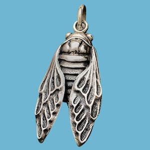 Cicada, Sterling Silver Charm, Cicada Pendant, Graduation Gift, New Parents Gift, Bug Jewelry, Insect Jewelry, Cicada Necklace, Entomology,
