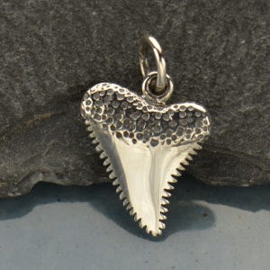 Sterling Silver Shark Tooth, Shark Charm, Small Shark Charm, Tooth Charm, Shark Tooth Charm, Silver Shark Tooth, Bronze Shark Tooth