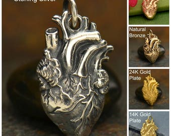 Sterling Silver Anatomical Heart Charm, Silver Heart Charm, Silver Human Heart Charm, Heart Jewelry, Real Anatomical Heart Charm