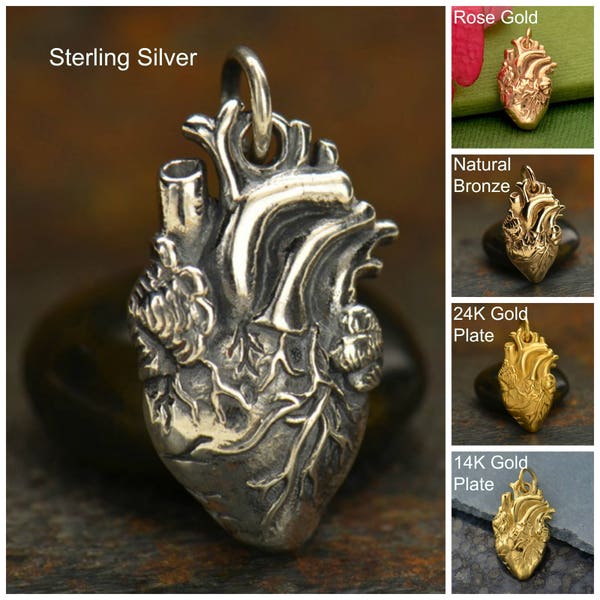 Encanto de corazón anatómico de plata esterlina, encanto de corazón de plata, encanto de corazón humano de plata, joyería de corazón, encanto de corazón anatómico real