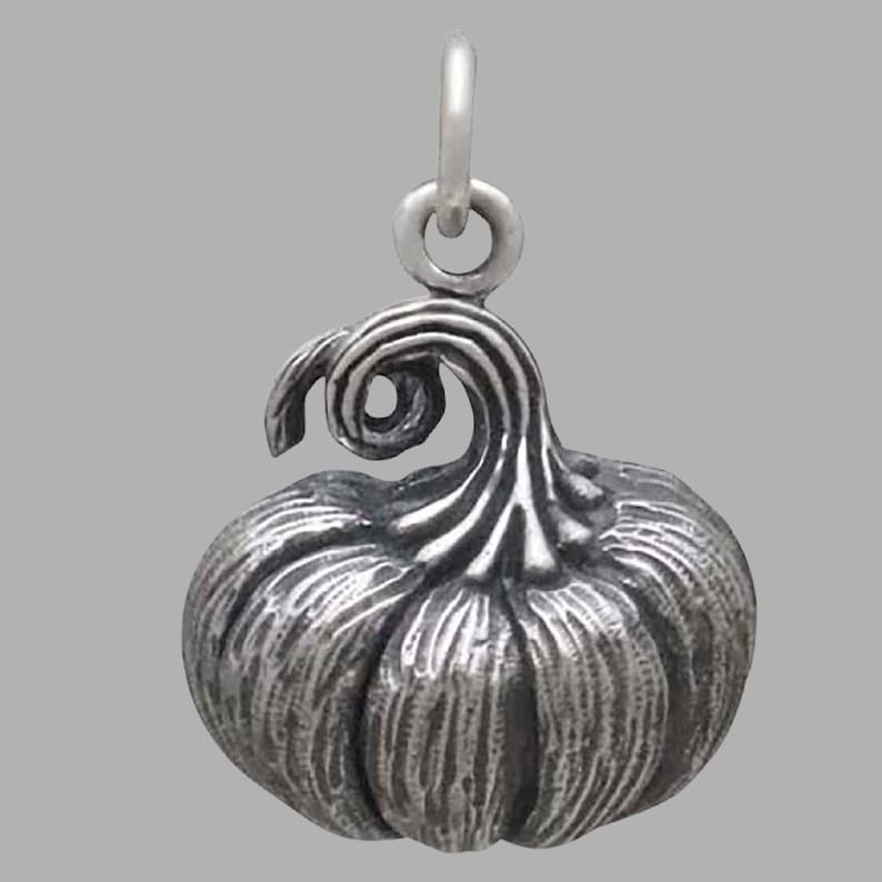 May include: A silver charm in the shape of a pumpkin with a detailed, textured surface and a curled stem.