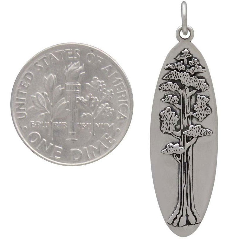 Sterling Silver Oval Sequoia Tree Pendant, Nature Jewelry, Tree Lover, Tree of Life Pendant, Fall Jewelry, Autumn Jewelry, Tree Necklace image 3