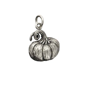 May include: A silver charm in the shape of a pumpkin with a detailed, textured surface and a curled stem.