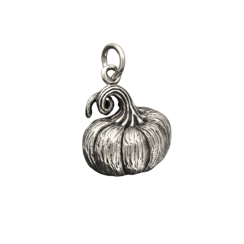 May include: A silver charm in the shape of a pumpkin with a detailed, textured surface and a curled stem.