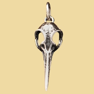 Sterling Silver Hummingbird Skull Charm, Hummingbird Jewelry, Bird Lover Gift Bird Skull Charm, Animal Skull, Bird Charm, Bronze Bird Skull