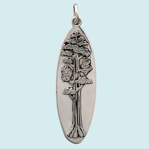 Sterling Silver Oval Sequoia Tree Pendant, Nature Jewelry, Tree Lover, Tree of Life Pendant, Fall Jewelry, Autumn Jewelry, Tree Necklace