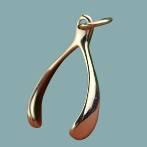 Sterling Silver Wishbone Charm, Wishbone Pendant, Wishbone Jewelry, Good Luck Jewelry, Lucky Charm, Gold Plate, Natural Bronze, Solid Gold