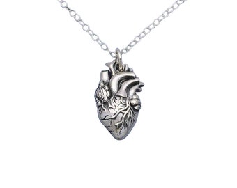 Anatomical Heart, Sterling Silver Necklace, Heart Necklace, Medical Student Gift, Heart Jewelry, Heart Charm, Medical Jewelry, Heart Pendant