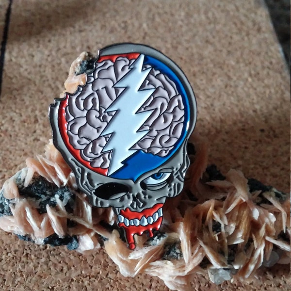 Grateful Dead Steal your Brains Pin