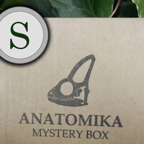 Small Mystery Box!