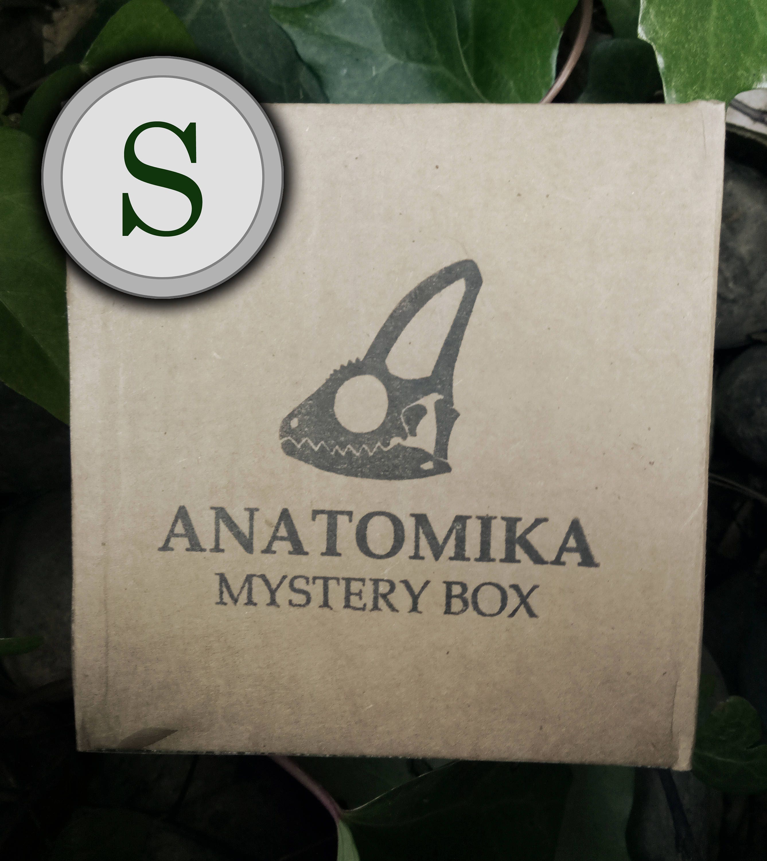 Small Mystery Box!
