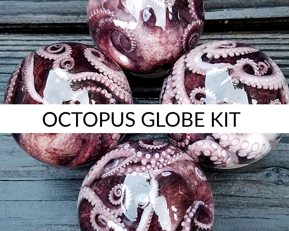 Real Octopus Specimen in Glass Globe DIY Kit