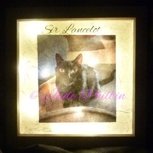 pet memorial photo frame,pet memorial gift,cat memorial gift, dog memorial gift,bunny memorial,pet loss gift,remembrance frame,pet keepsake