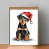 Cavapoo Christmas Cards Pack of 10 Greeting Cards (standard Envelopes ...