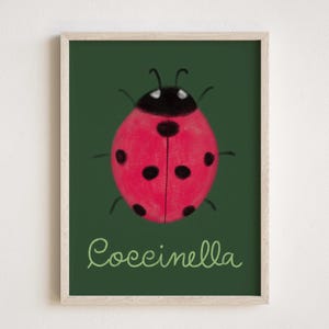 Pode incluir: Uma ilustração enquadrada de uma joaninha vermelha com manchas pretas sobre um fundo verde. O texto "Coccinella" está escrito em itálico verde abaixo da joaninha.