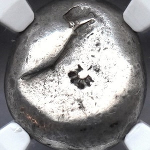 525-480 v.Chr. Oude Griekenland Zeeschildpad Antiek Zilver Geauthenticeerde Griekse Munt, Zeldzame Collectible Artefacten Munten