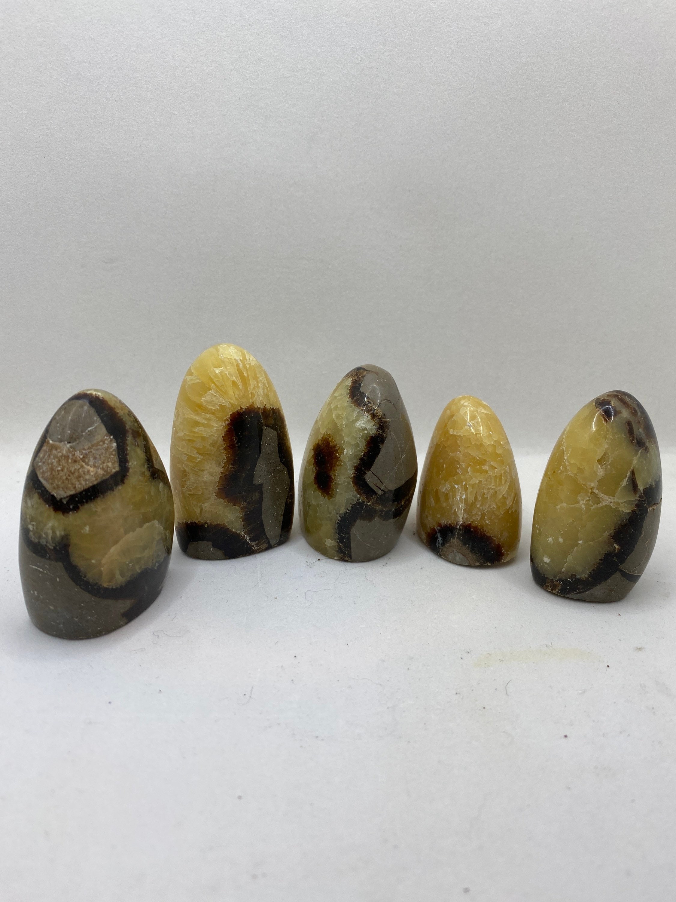 Mini Septarian Free Forms