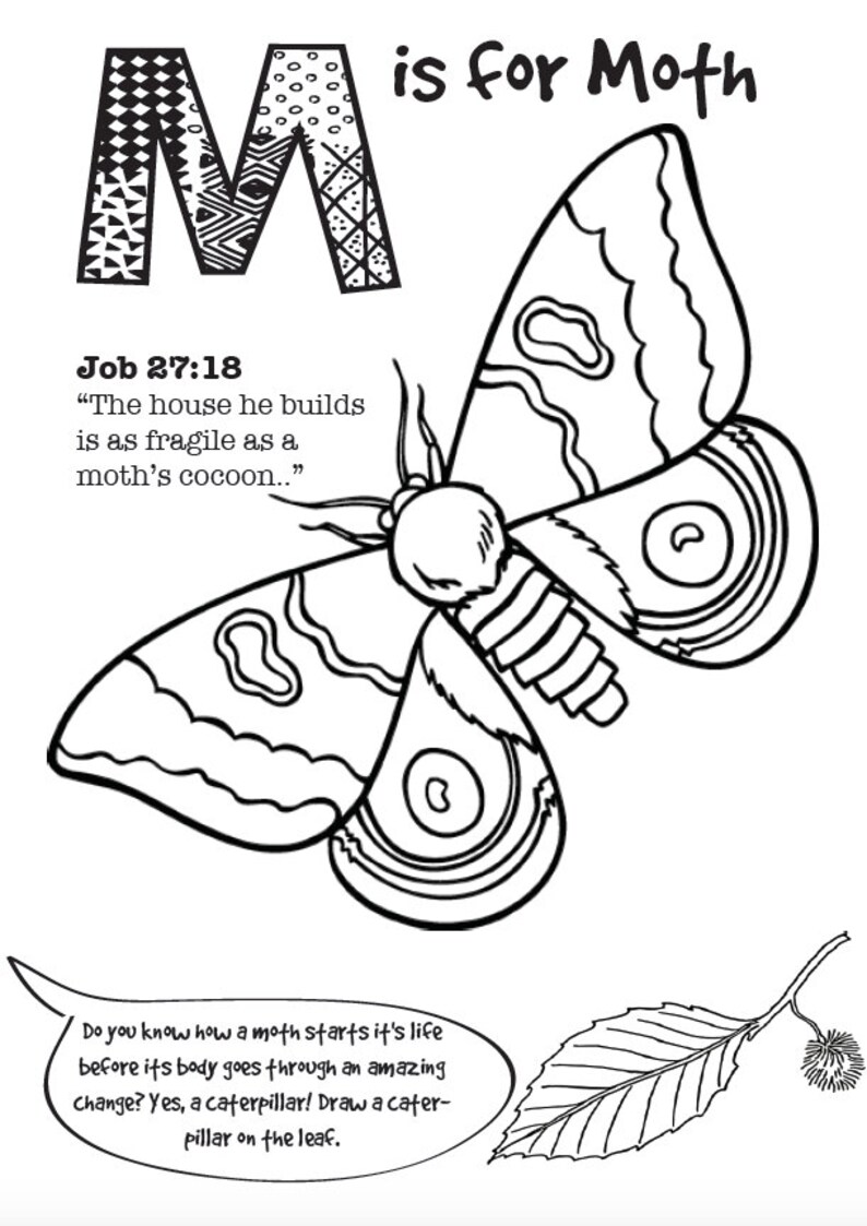 My Colouring Book of Bible Animals JW Kids Gift PDF print at home image 5